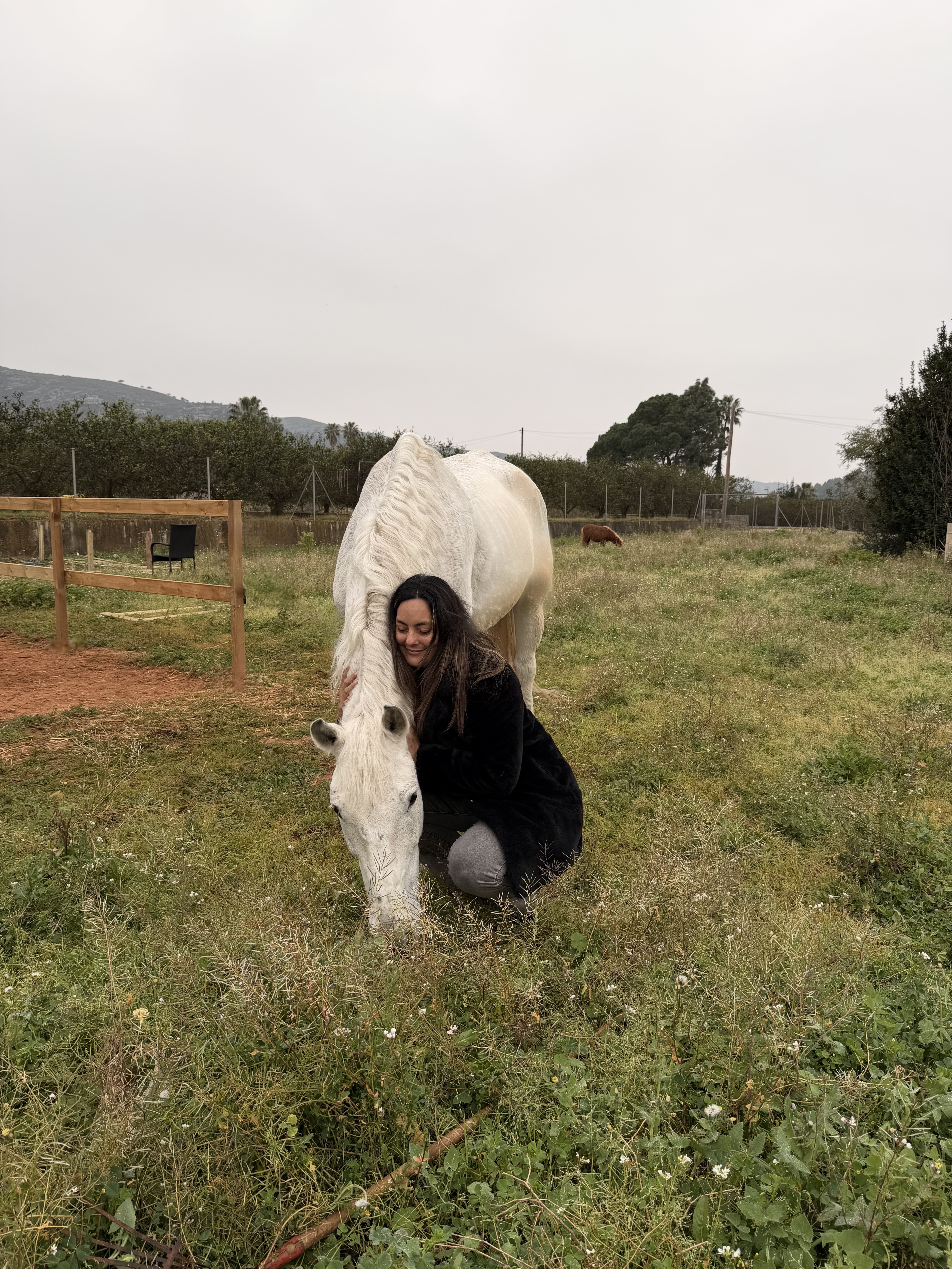 Instalaciones del santuario — área de pastoreo